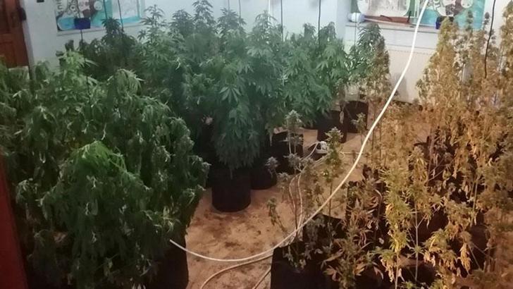 Kiraladıkları villayı uyuşturucu imalathanesine çevirmişler