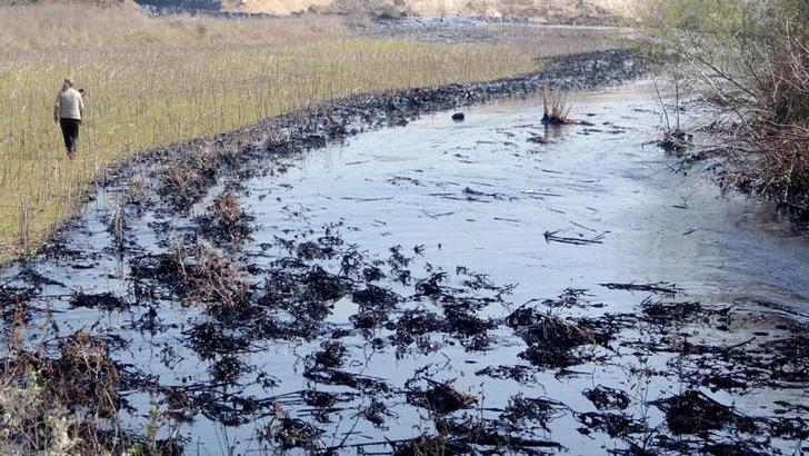 Edirne'de fuel oil kazanı patladı; tonlarca yakıt çevreye yayıldı