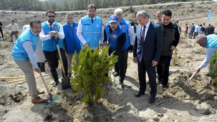 Gurbetçilerden Manavgat'a 250 bin fidan bağışı