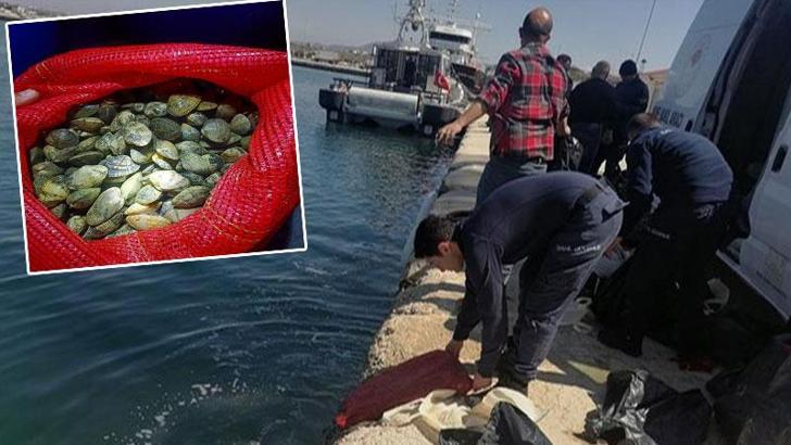 Yunanistan’a götürülmek istenen 1 ton kaçak midye ele geçirildi