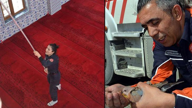 Avcılar'da camide mahsur kalan kumruyu itfaiye kurtardı