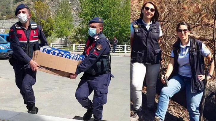 DHA'nın gündeme getirdiği büyük orman vurgunuyla ilgili müfettiş görevlendirildi