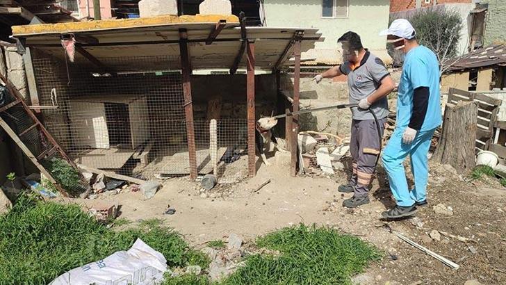 Yasaklı ırk köpek besleyen ve kayıt altına almayan sahibine 15 bin lira ceza