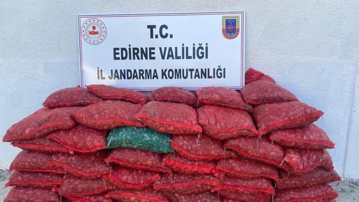 Yunanistan'a götürülmek istenen 750 kilo kum midyesi ele geçirildi