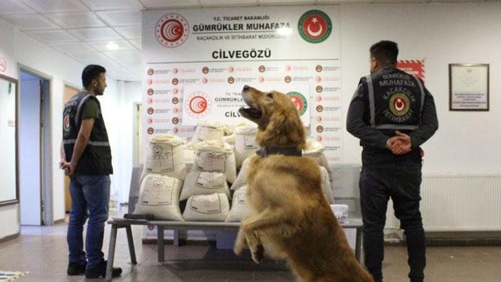 Turşu bidonlarında 2 milyon 422 bin uyuşturucu hap ele geçirildi