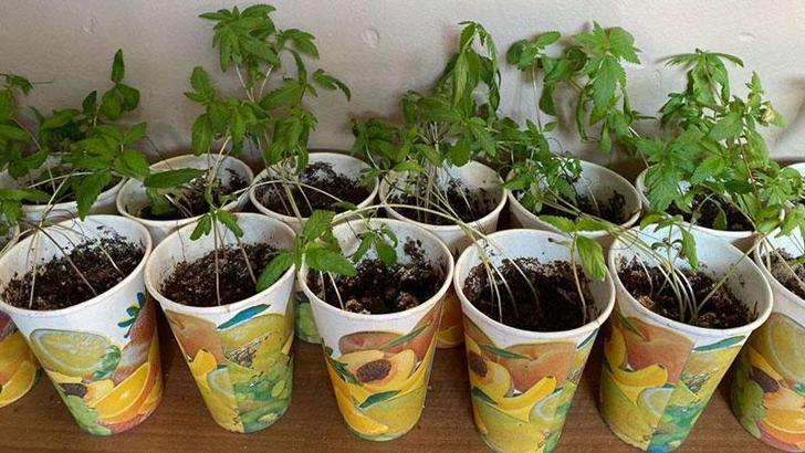 Van'da jandarmanın bastığı ev uyuşturucu imalathanesi çıktı