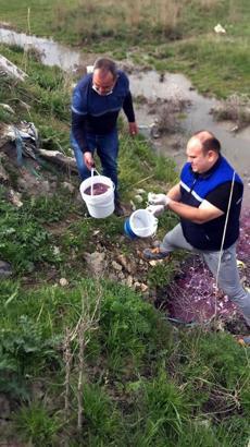 Kamara Deresi'ni kirleten tesise 500 bin lira ceza kesildi, faaliyeti durduruldu /Ek fotoğraf