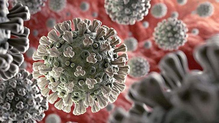 Şangay’da Covid-19’dan ilk can kayıpları açıklandı