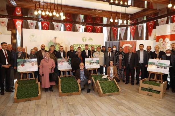 Şile’de çiftçilere 367 bin sebze fidesi dağıtılacak