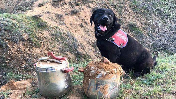 Bingöl'de düdüklü tencerelere yerleştirilmiş EYP bulundu