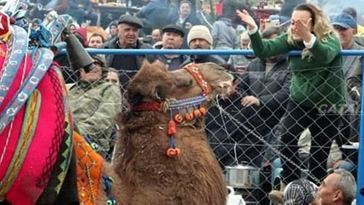 'Süperstar' Alev'in develerine el koyuldu, banka hesapları bloke edildi