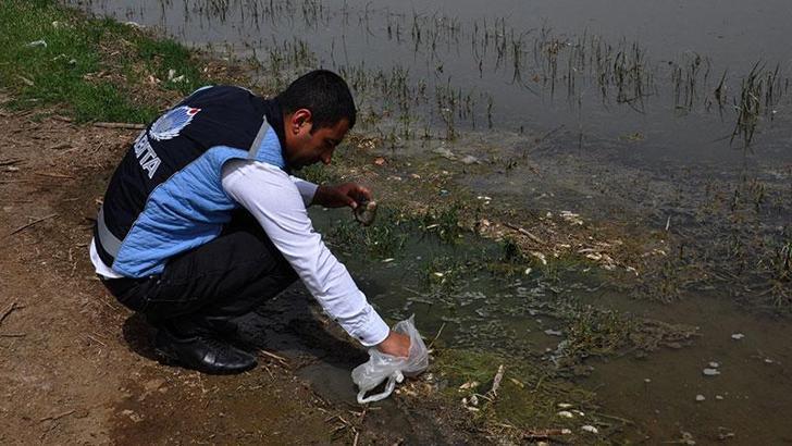 Tahtaköprü Barajı Gölü'nde balık ölümlerine inceleme