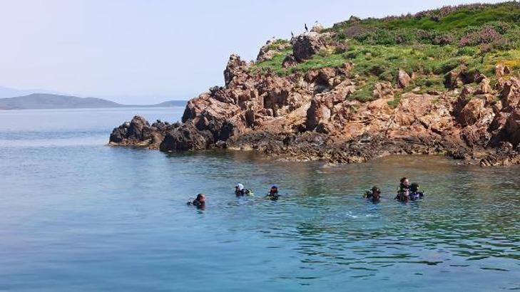 Kırmızı mercanlarıyla ünlü Ayvalık’ta dalış sezonu başladı