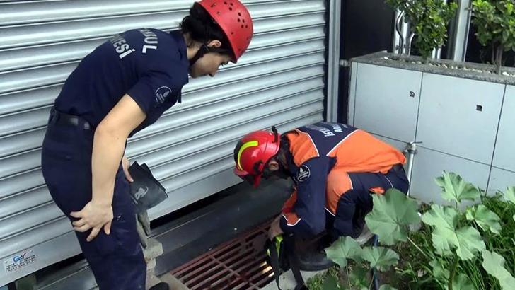 Avcılar'da mahsur kalan kedi için gelen itfaiyeye ev sahibi engeli