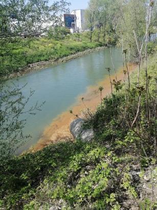 Boru fabrikası, atık suları dereye boşalttı