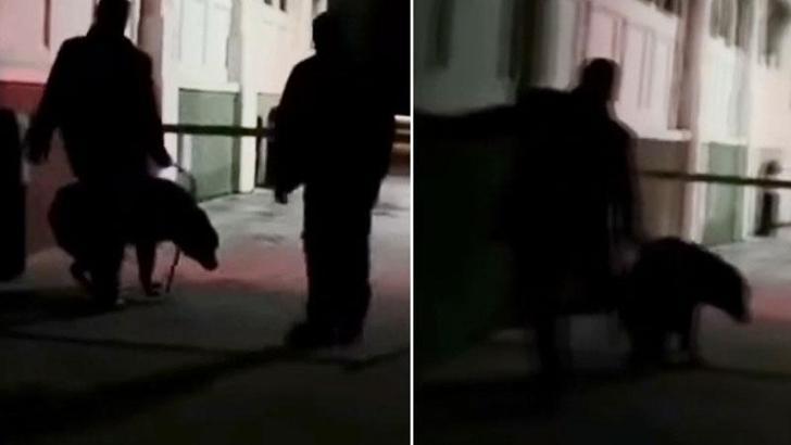 OGM’den 'her anne için bir ağaç'