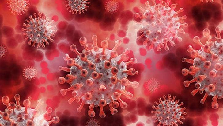 Koronavirüs salgınında günlük vaka sayısı 1193 oldu