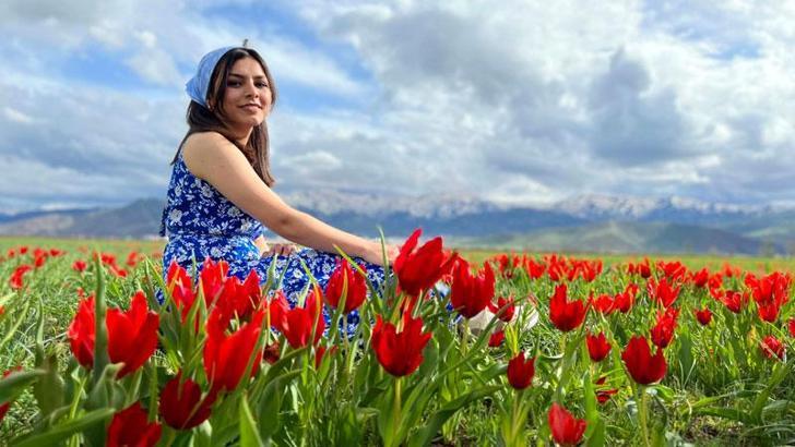 Muş lalesi, ovayı kırmızıya boyadı