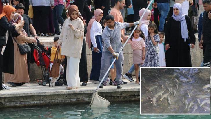 Balıklıgöl'de balık ölümleri; göle gıda maddesi atılması yasaklandı