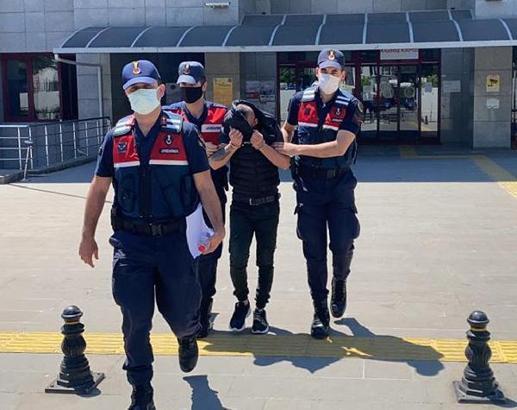 Manavgat'ta fuhuş operasyonu