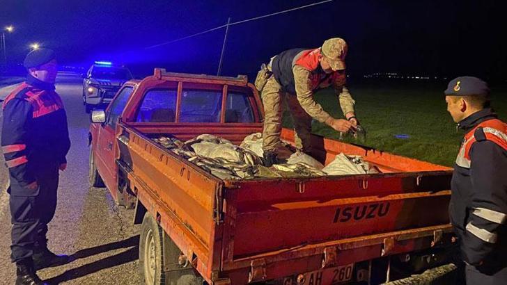Van'da kaçak avlanan 1 ton inci kefali ele geçirildi