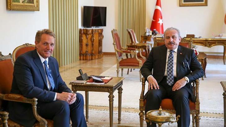 TBMM Başkanı Şentop, ABD Büyükelçisi Flake'i kabul etti