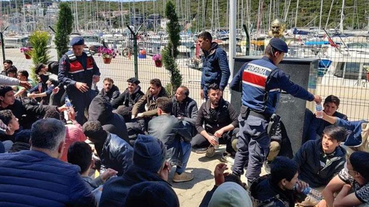 Düzensiz göçle mücadelede 'huzur' uygulaması: 29 gözaltı