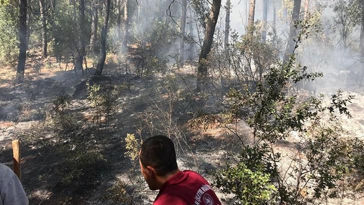 Çocukların oynadığı maytaplar, yangın çıkardı