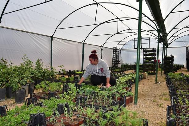 Kuaförlüğü bırakıp çiftçi oldu; genç kadın azmiyle takdir topluyor