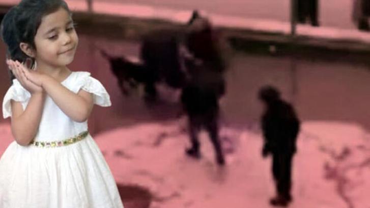 Asiye'ye pitbull saldırısında tutuklu 3 sanık, 3'üncü kez tahliye oldu