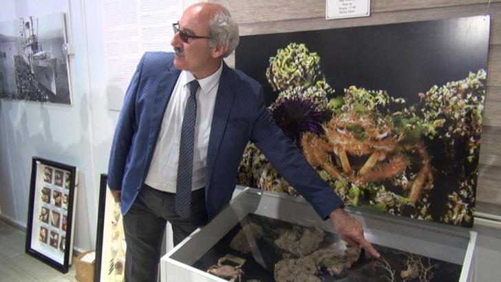 Prof. Dr. Mustafa Sarı: Kesin olarak müsilajla karşılaşacağız ama zamanını bilmiyoruz