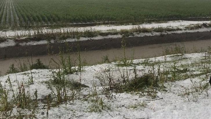 Kadirli'de dolu yağışı tarım arazilerine zarar verdi