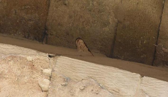 Tarihi medresenin eyvan kemerinde 'mala' unutuldu