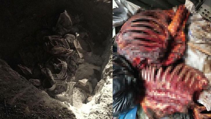 İzmir’de 5 ton 860 kilo tek tırnaklı hayvan eti ele geçirildi