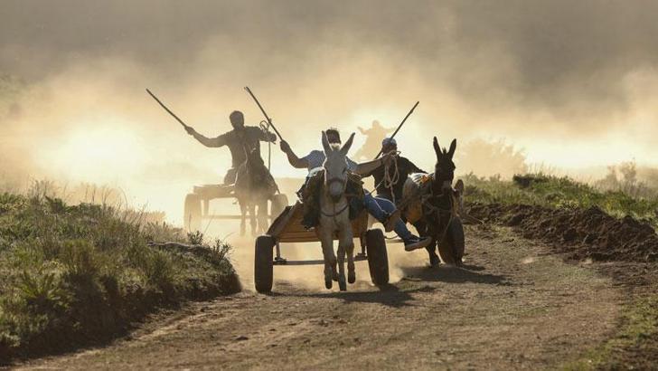 Van'da fotoğraf tutkunları 'eşek arabası yarışları' için deklanşöre bastı