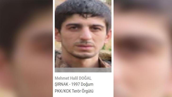 Terörden arananlar gri kategorideki terörist etkisiz hale getirildi