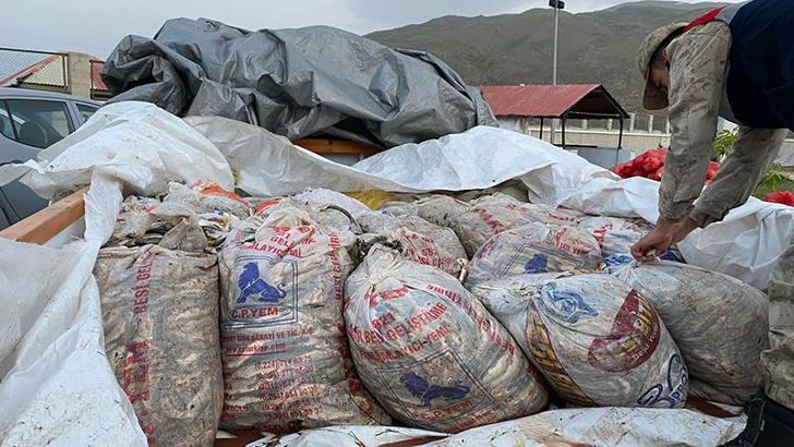 Van'da kaçak avlanan 11 ton inci kefali ele geçirdi