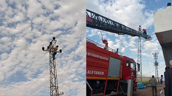 12 metrelik elektrik direğinde asılı kaldı, itfaiye kurtardı
