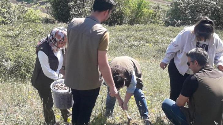 Salep soğanı toplayan 4 kişiye 438 bin lira ceza