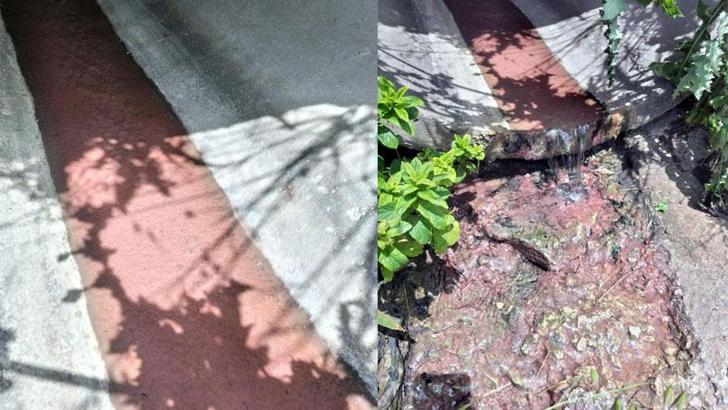 Tekirdağ'da kırmızı akan kanalda inceleme