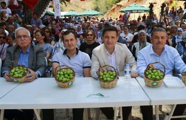 Gezende'de Erik Festivali coşkusu