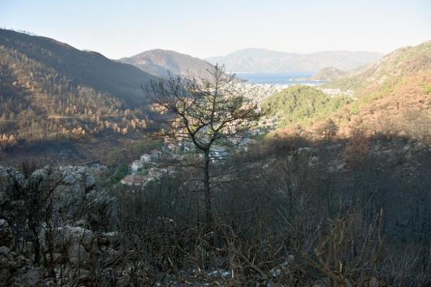 Muğla'da bazı bölgelerde ormanlara giriş yasaklandı