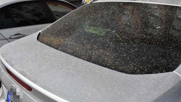 Sivas'ta toz taşınımı etkili oldu