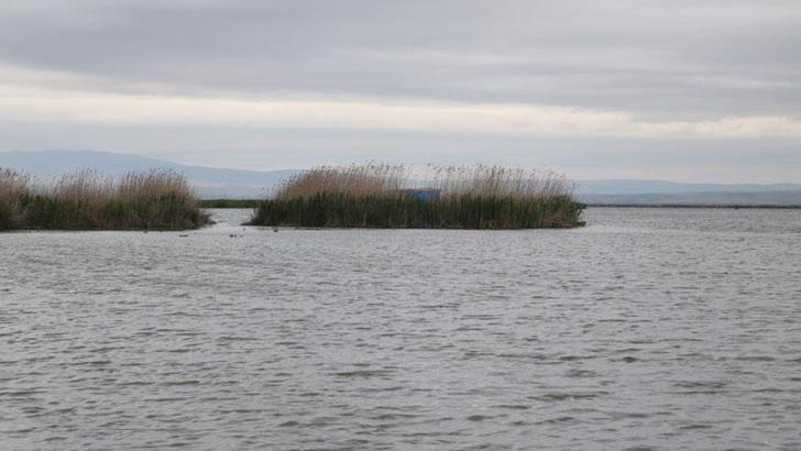 Yağışlarla birlikte Eber Gölü'nde su seviyesi arttı