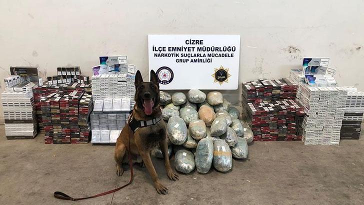 TIR'daki 51 kilo esrarı 'Erez' buldu