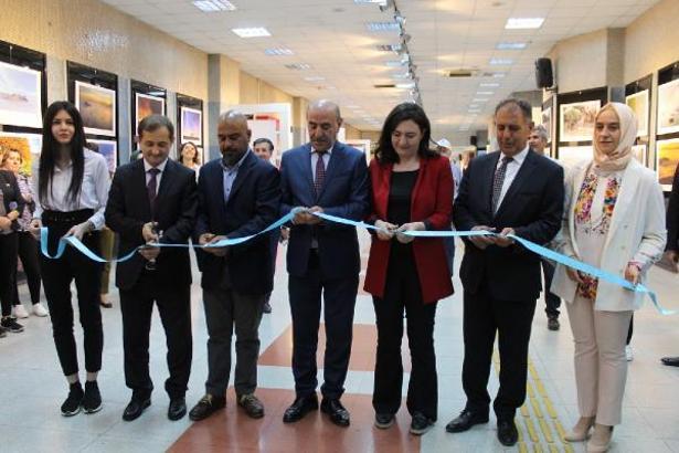 Ankara'da 100 çevre fotoğrafı 'Çevre Haftası' için sergide