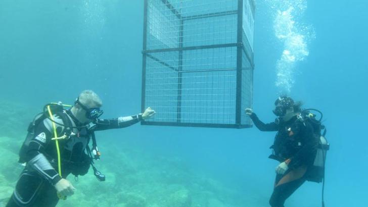 Waste container lowered under water in Antalya