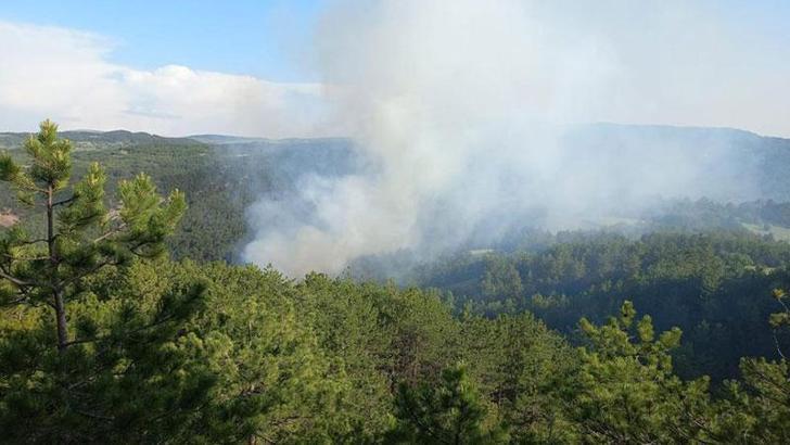 Göynük'te, ormanda çıkan yangın kontrol altına alındı