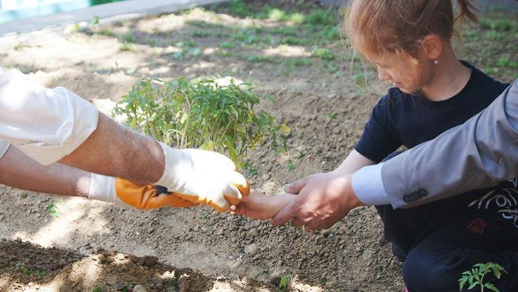 İstanbul’da öğrenciler okul bahçesinde sebze-meyve yetiştiriyor