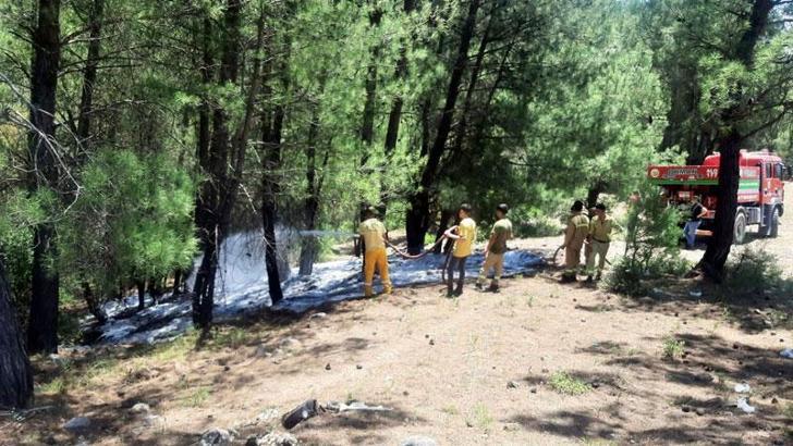 Ormanı yakan madde bağımlısı tutuklandı